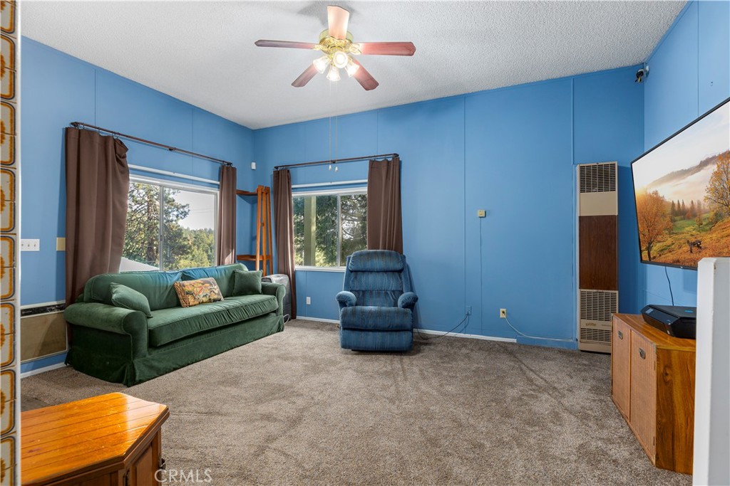 26857 Crestview Drive Idyllwild, CA 92549 - Photo 33 of 49
