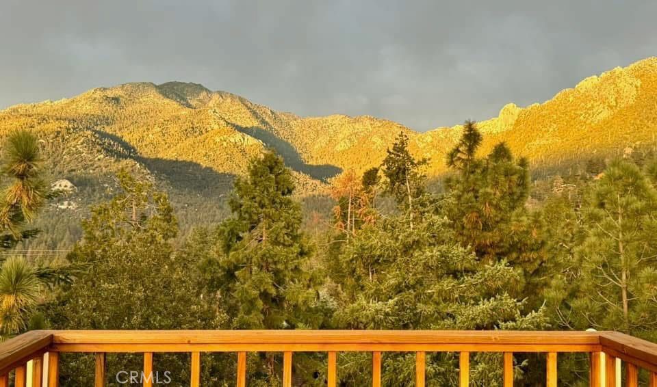 26857 Crestview Drive Idyllwild, CA 92549 - Photo 48 of 49