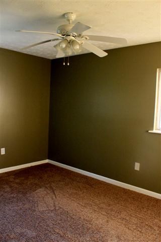 928 Dr Johns Road Westminster, SC 29693 - Photo 8 of 19 Gallery Image 8
