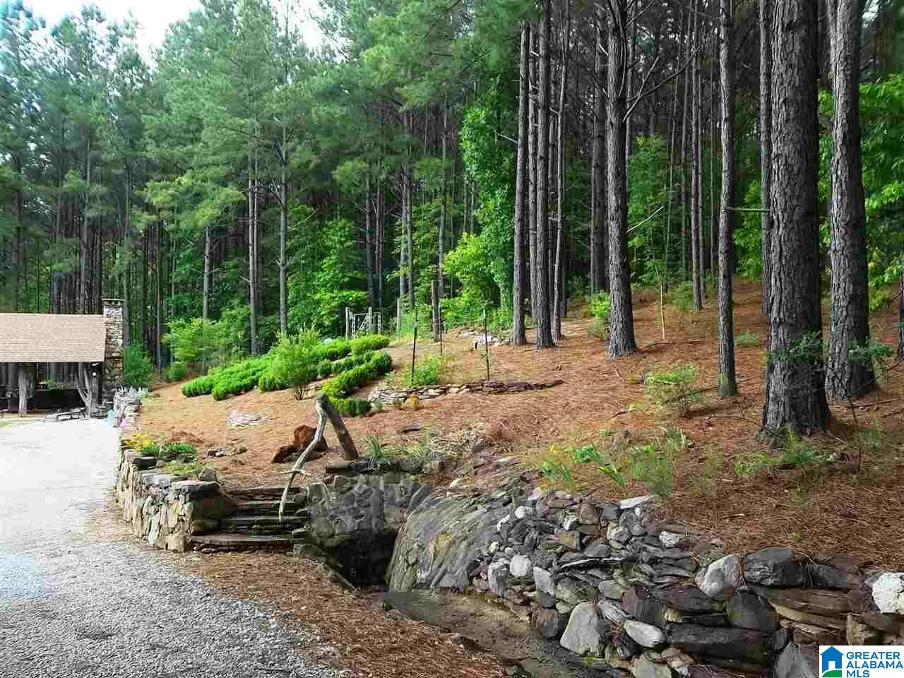 799 Green Acres Road Talladega, AL 35160 - Photo 8 of 50 Gallery Image 8