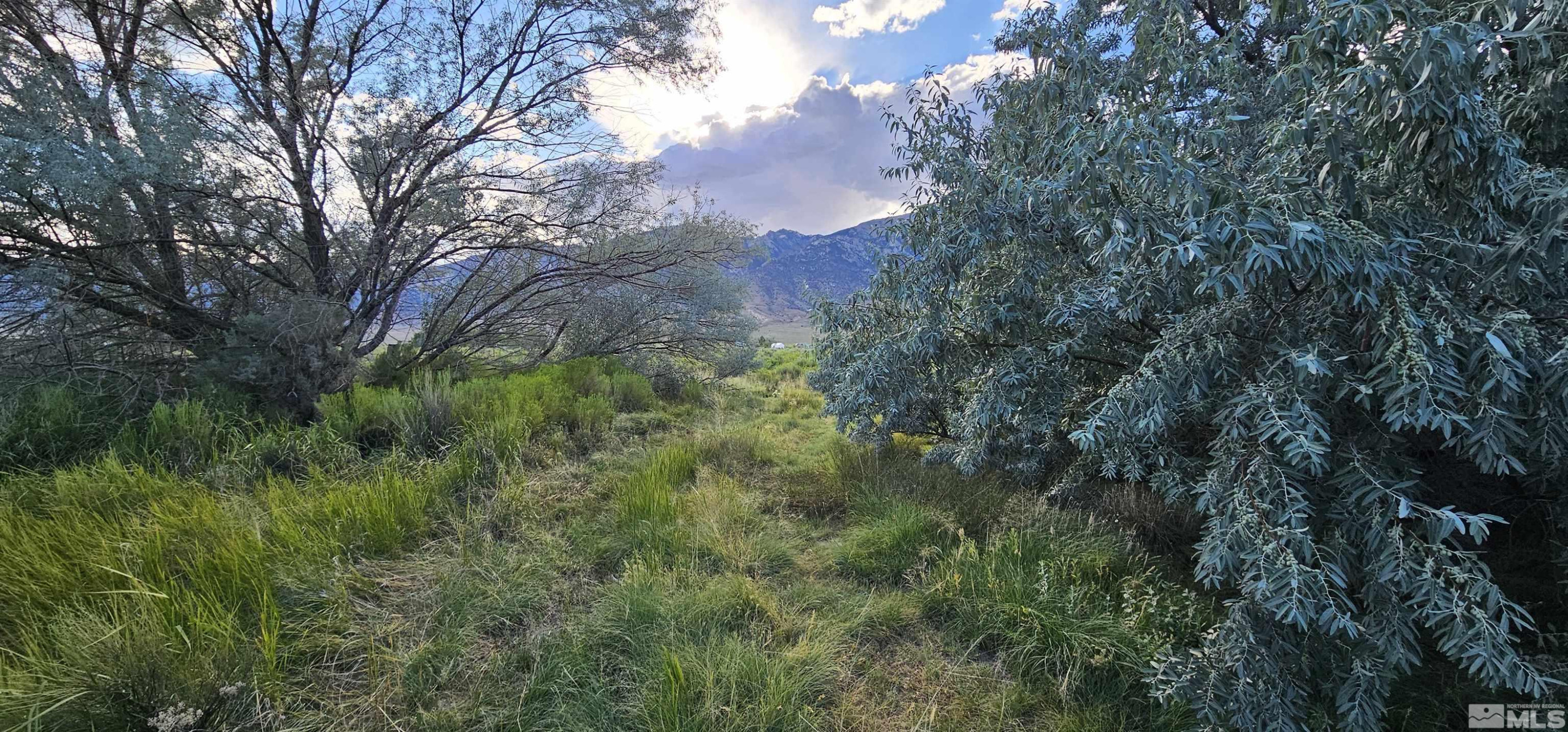 552 Gendron Road West Round Mountain, NV 89045 - Photo 10 of 37 Photo 10