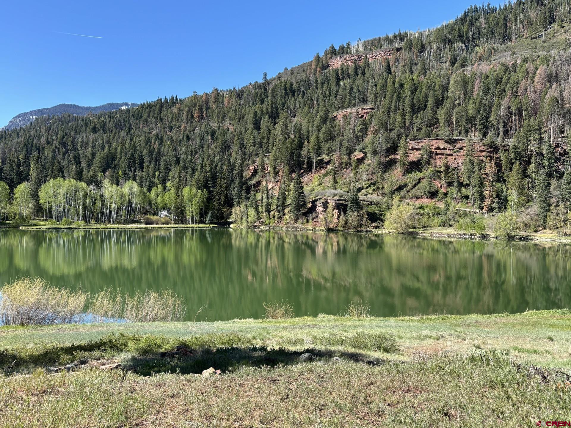 2871 County Road Ridgway, CO 81432 - Photo 4 of 44