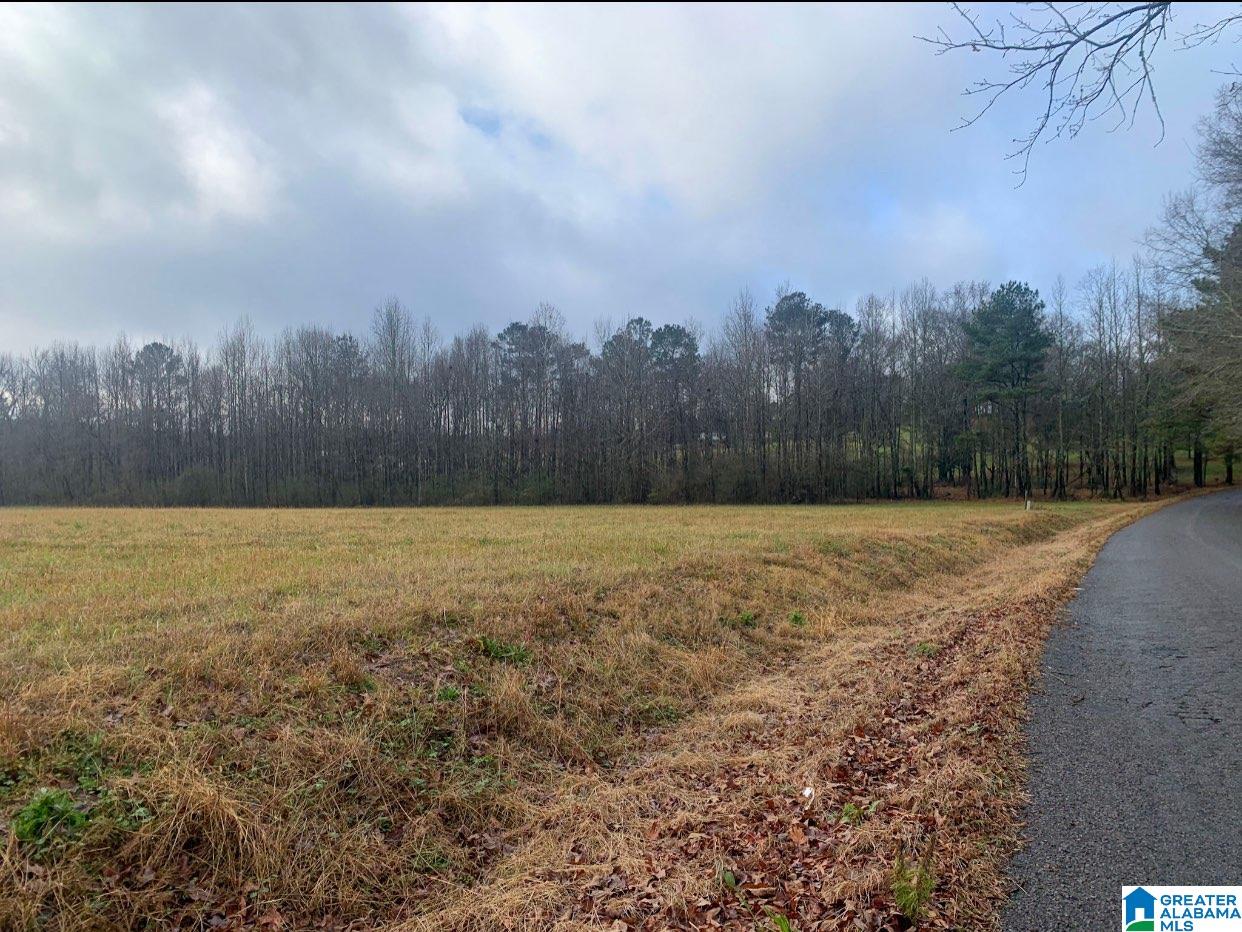 0 Souls Chapel Road, Unit 1 Oneonta, AL 35121 - Photo 4 of 6