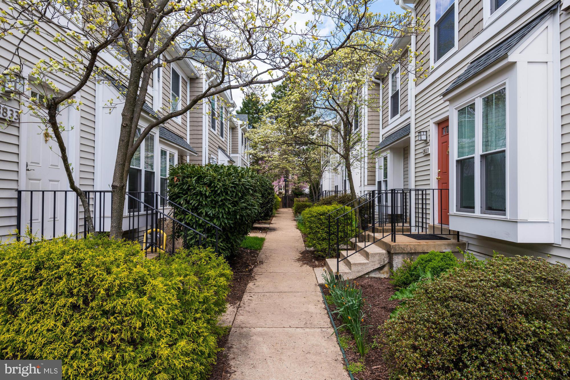 Walkway to Home