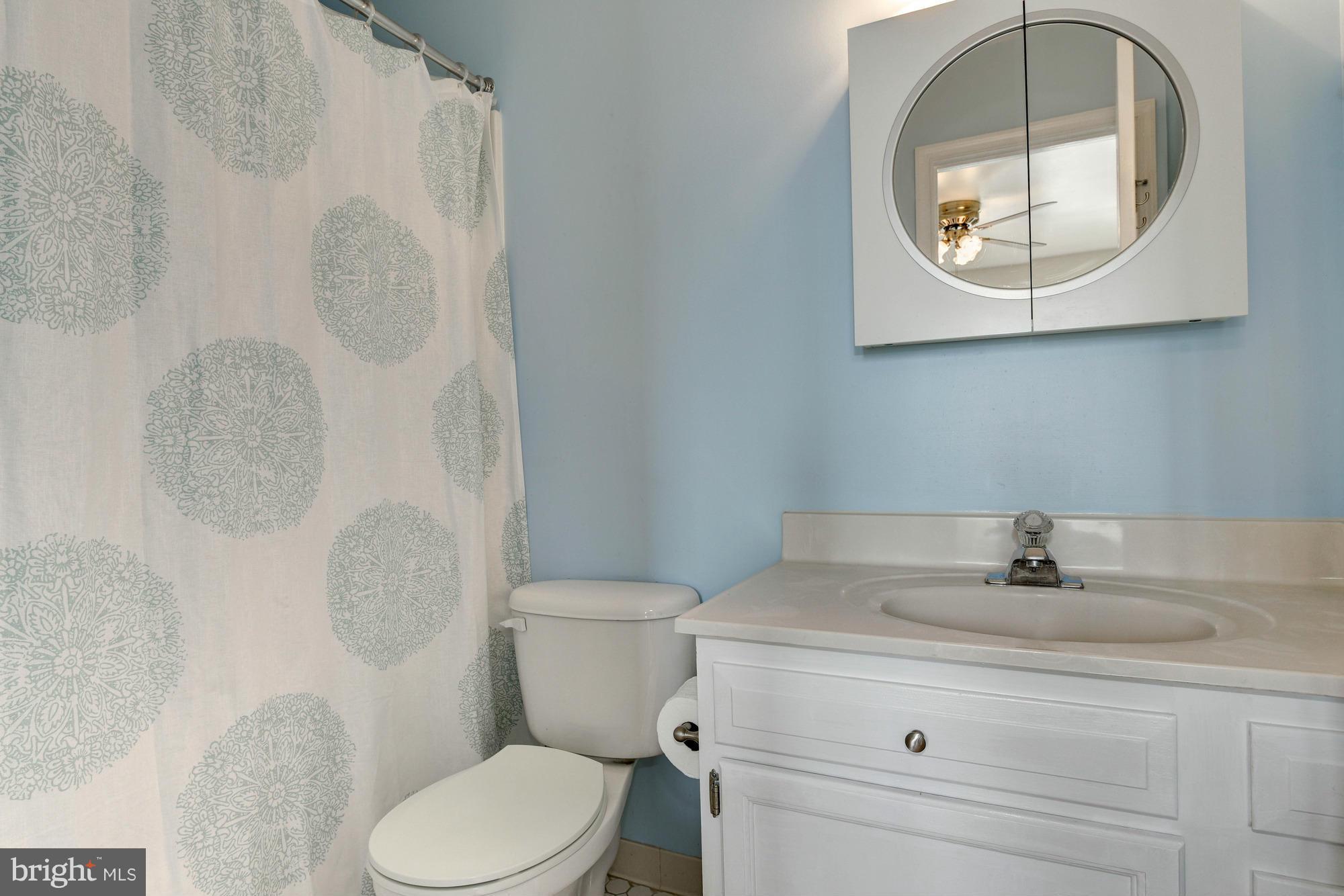 3843 9th Road South Arlington, VA 22204 - Photo 15 of 21 Master Bath 2
