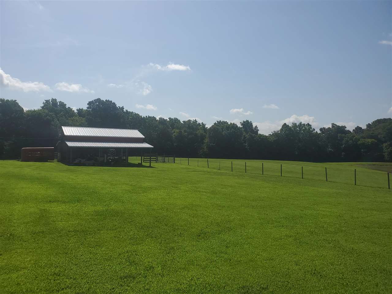 537 Wellwood Road Bells, TN 38006 - Photo 13 of 21 Gallery Image 13