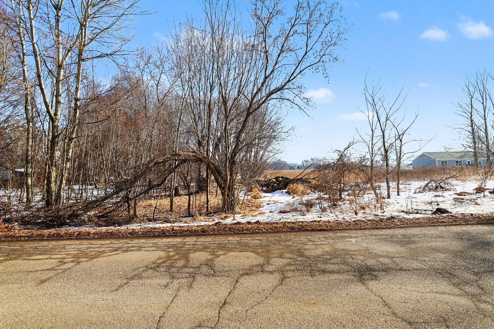 Undisclosed Address Albion, MI 49224 - Photo 4 of 13 004_file_3672