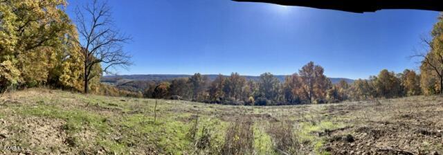 73-acres Little Valley Road Tazewell, TN 37879 - Photo 19 of 53 767ED031-3778-4B7D-9ED4-8DF042D5B9C5