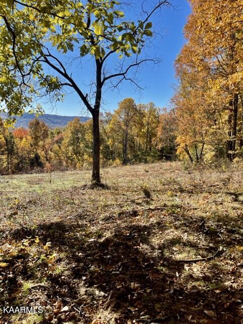 73-acres Little Valley Road Tazewell, TN 37879 - Photo 20 of 53 7E6EB6ED-4C84-4442-838E-42EB63C85E85