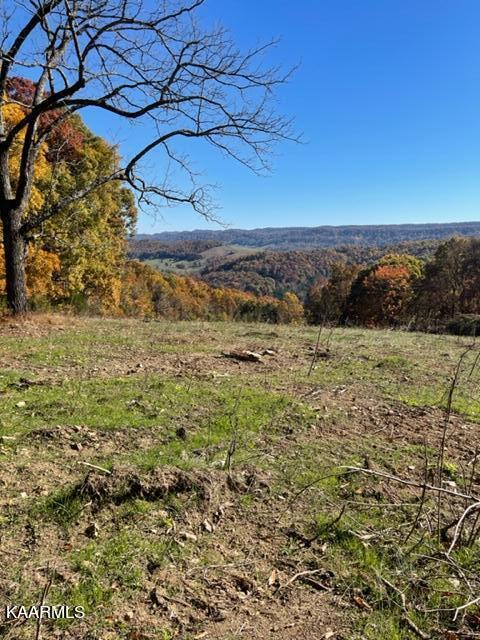 73-acres Little Valley Road Tazewell, TN 37879 - Photo 21 of 53 F65761DE-763A-4600-AEC9-80A9D94064CC