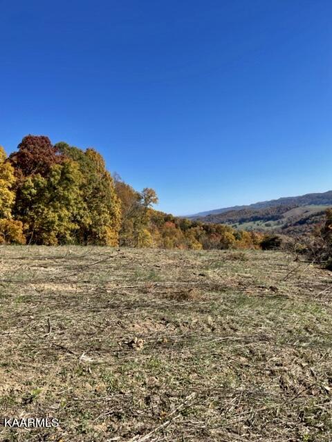 73-acres Little Valley Road Tazewell, TN 37879 - Photo 22 of 53 73A689B2-A09F-4A32-A783-BE44F82956D0
