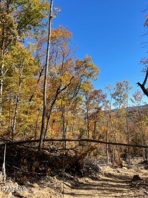 73-acres Little Valley Road Tazewell, TN 37879 - Photo 23 of 53 81C5D24D-E392-41FA-8B6D-B2D2B6D9AEDB