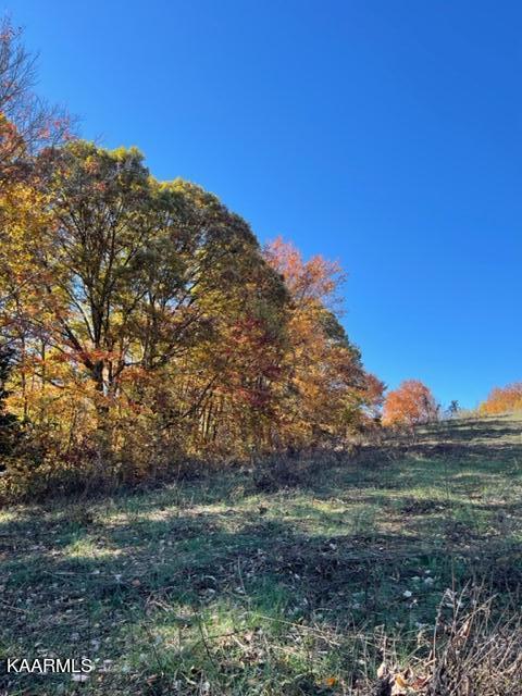 73-acres Little Valley Road Tazewell, TN 37879 - Photo 26 of 53 0F5826D1-47FE-4512-84BD-FDDCFDE12B27