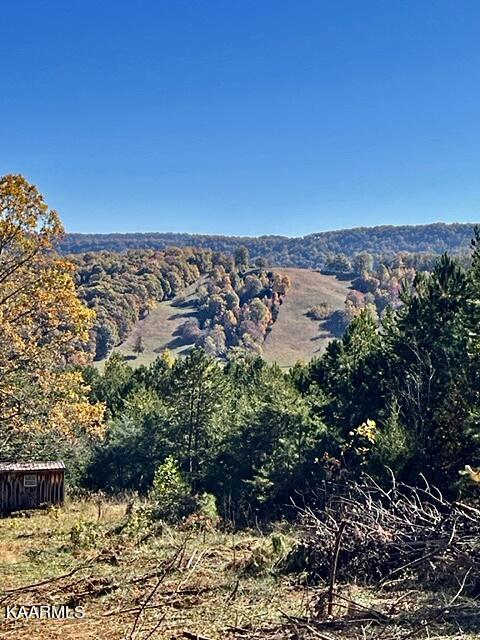 73-acres Little Valley Road Tazewell, TN 37879 - Photo 28 of 53 989C6EF6-1362-4FB2-86E4-A95FB73A8FFF