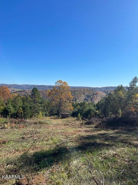73-acres Little Valley Road Tazewell, TN 37879 - Photo 29 of 53 36008CC1-588F-492F-87D4-143677E49A0A