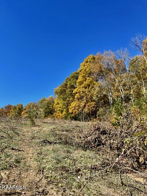 73-acres Little Valley Road Tazewell, TN 37879 - Photo 31 of 53 A3C34333-00F9-445F-9637-025751707245