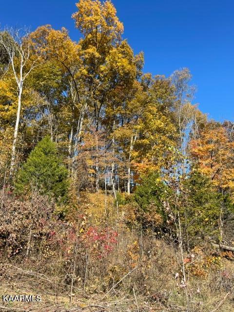 73-acres Little Valley Road Tazewell, TN 37879 - Photo 32 of 53 F1DF2510-4DD7-4326-B68B-0E134C17833B