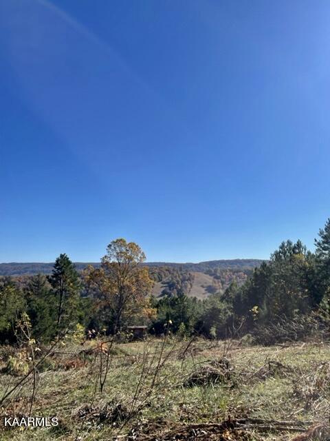 73-acres Little Valley Road Tazewell, TN 37879 - Photo 34 of 53 91924399-FEDD-4F2A-B99C-57EB4CEF1C2B