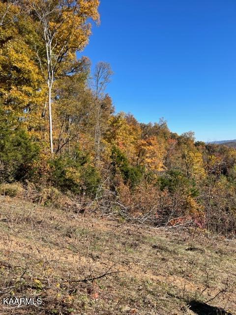 73-acres Little Valley Road Tazewell, TN 37879 - Photo 35 of 53 FC2FA669-C397-48B7-929F-E73774315825