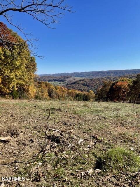 73-acres Little Valley Road Tazewell, TN 37879 - Photo 36 of 53 9F63B0E2-9475-4B40-8DCD-59DCF00D09FC