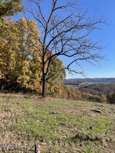 73-acres Little Valley Road Tazewell, TN 37879 - Photo 37 of 53 C719B76A-AF35-43E0-B100-461BA6E0FCCC
