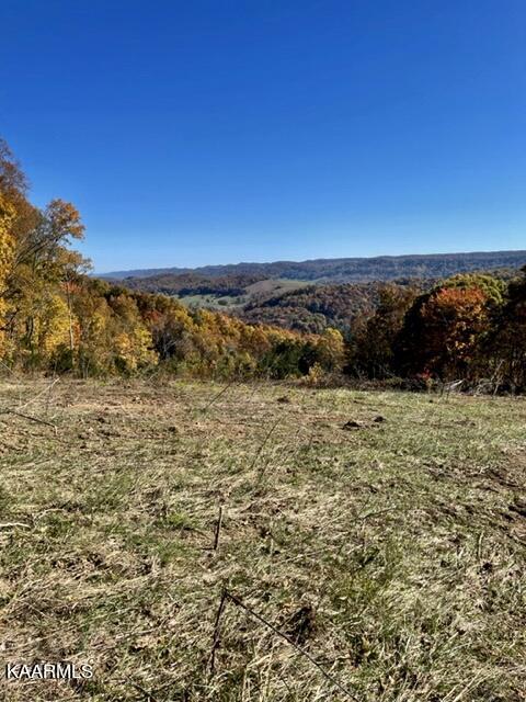 73-acres Little Valley Road Tazewell, TN 37879 - Photo 38 of 53 2D566AF5-DF77-42A8-8962-BC8DB3A1BDCD