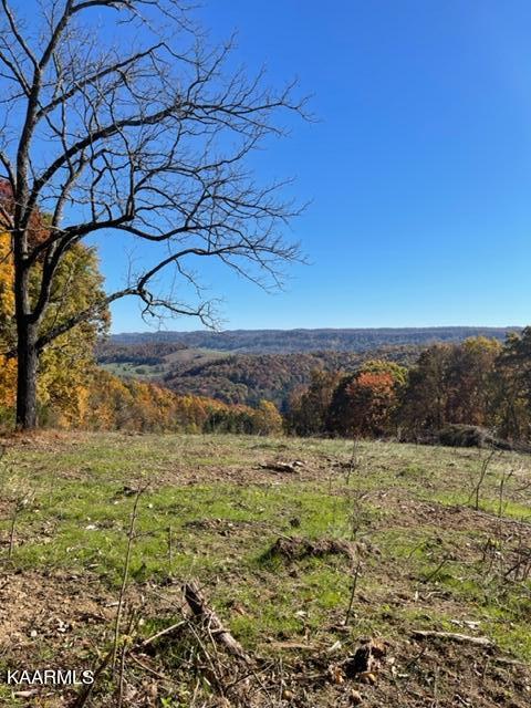 73-acres Little Valley Road Tazewell, TN 37879 - Photo 39 of 53 B4B2429E-830A-458B-89F5-2738E7B6A36E