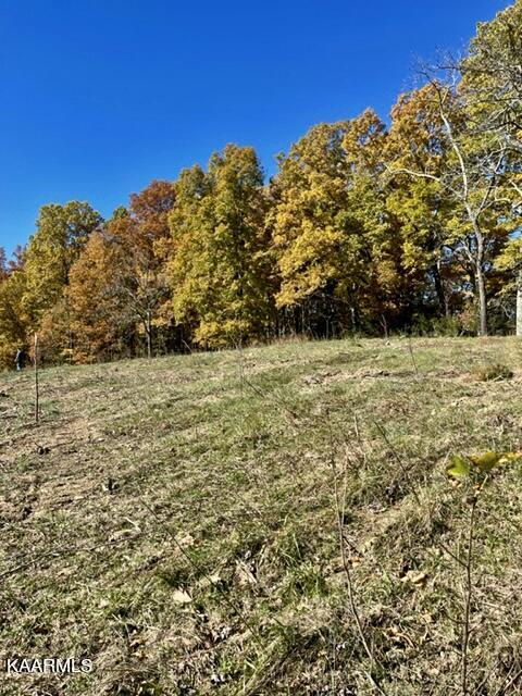 73-acres Little Valley Road Tazewell, TN 37879 - Photo 40 of 53 1374D188-3181-4997-BCA1-5D5C43B218AB