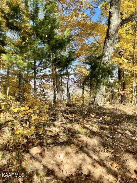 73-acres Little Valley Road Tazewell, TN 37879 - Photo 42 of 53 9A83CEB2-A5D4-499D-9E8E-431476FE1D17