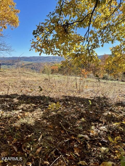 73-acres Little Valley Road Tazewell, TN 37879 - Photo 43 of 53 A279C7C0-15C0-440B-970A-51C253FFF0CE