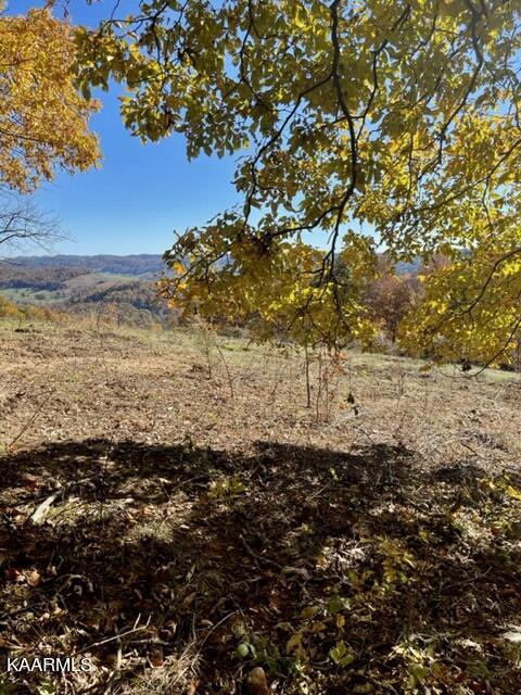 73-acres Little Valley Road Tazewell, TN 37879 - Photo 45 of 53 97A15C43-AEAD-47F1-8FB0-84CD5F5E7887