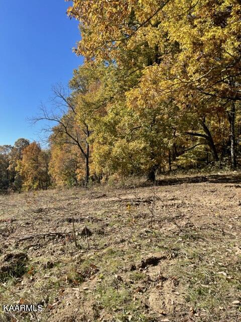 73-acres Little Valley Road Tazewell, TN 37879 - Photo 46 of 53 AE50AF00-EF90-41DB-A1BC-75967F6F46AE