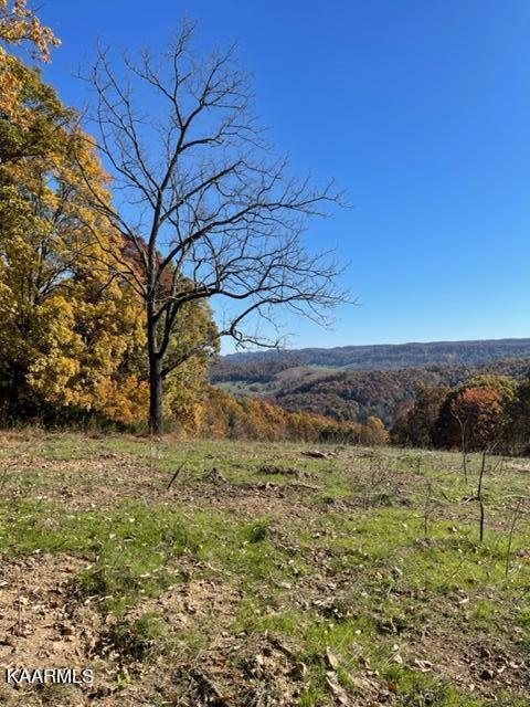 73-acres Little Valley Road Tazewell, TN 37879 - Photo 47 of 53 F9E014DF-635E-4FC2-AE84-07480F3133DE