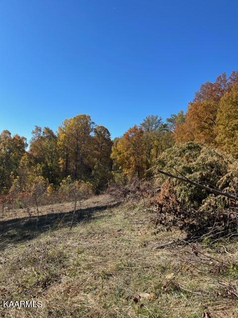 73-acres Little Valley Road Tazewell, TN 37879 - Photo 48 of 53 DB641C32-8F11-4897-AF24-C507E44E9859