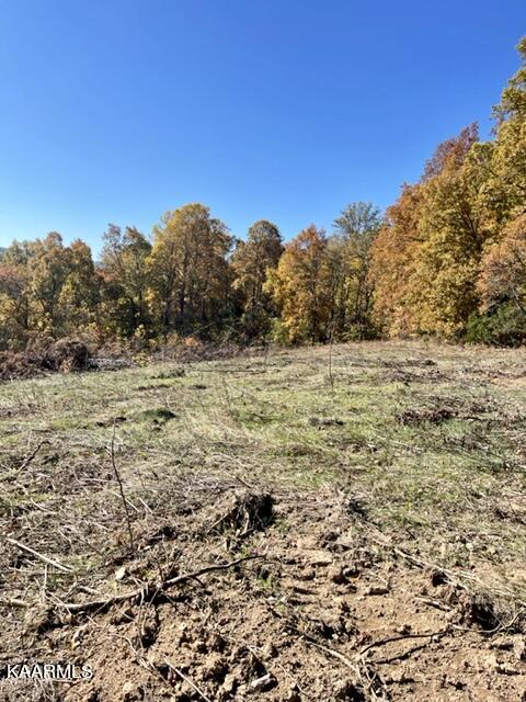 73-acres Little Valley Road Tazewell, TN 37879 - Photo 49 of 53 BC4F83DE-42DF-496A-9C85-0F152DFBDCCE