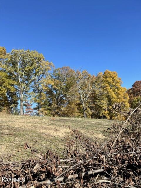 73-acres Little Valley Road Tazewell, TN 37879 - Photo 50 of 53 D149D6BD-BAD7-44B5-B3DF-400AA32922D1