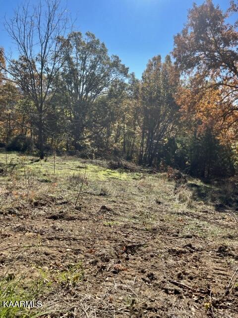 73-acres Little Valley Road Tazewell, TN 37879 - Photo 53 of 53 29CE869C-373F-41B9-9AAB-7E464332464A