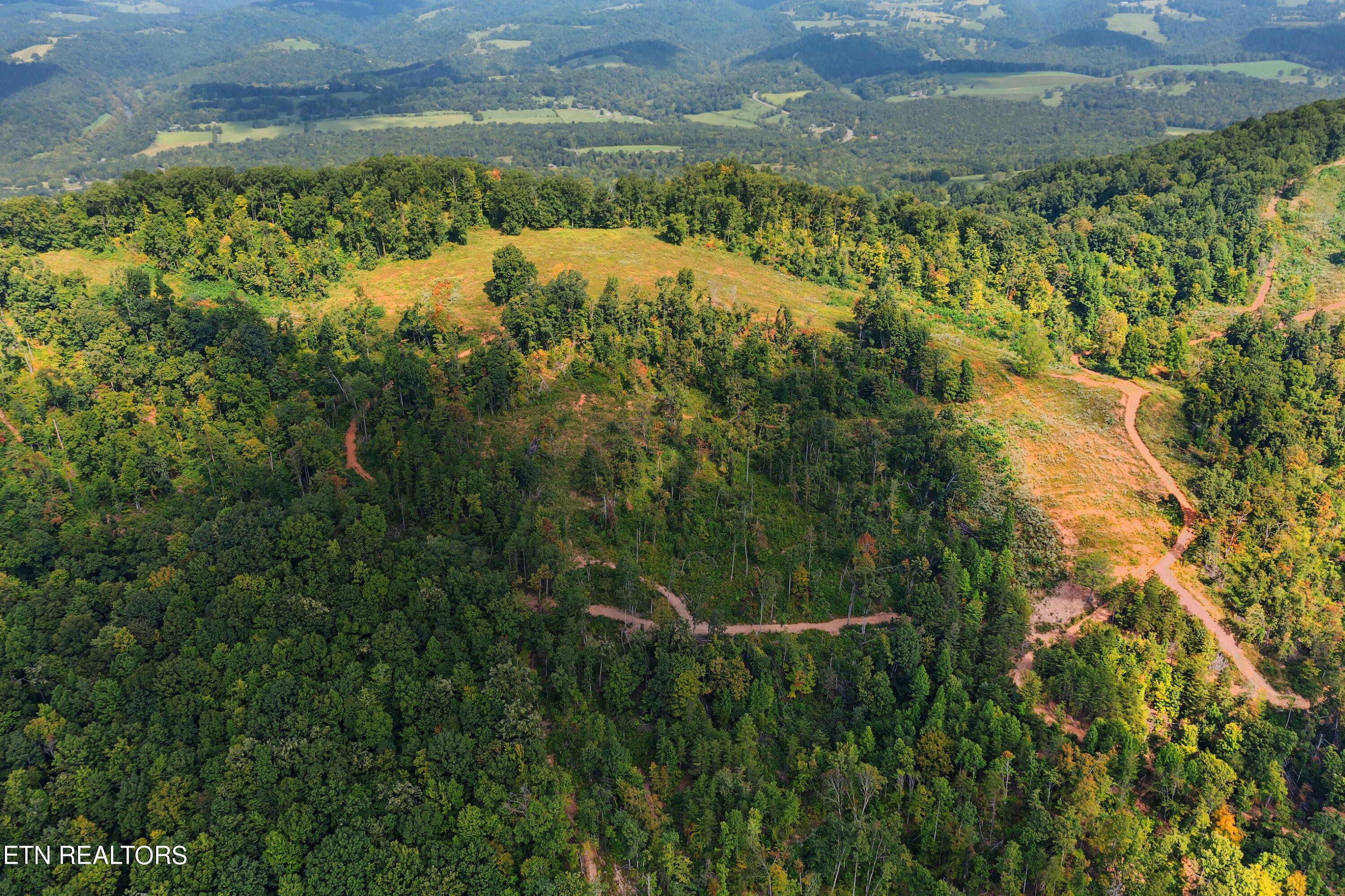 73-acres Little Valley Road Tazewell, TN 37879 - Photo 7 of 53 DJI_0843.jpg-SMALL