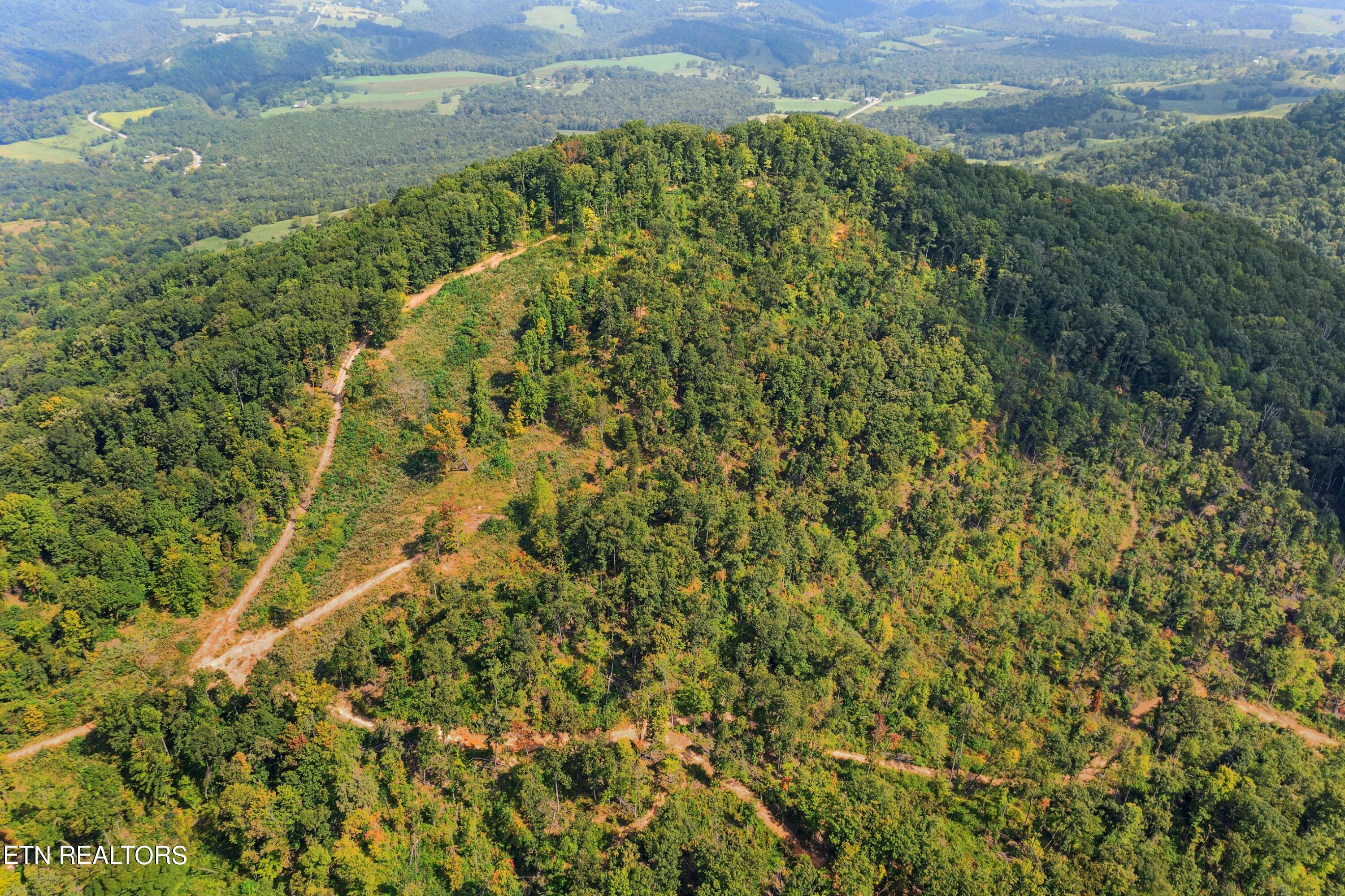73-acres Little Valley Road Tazewell, TN 37879 - Photo 10 of 53 DJI_0858.jpg-SMALL