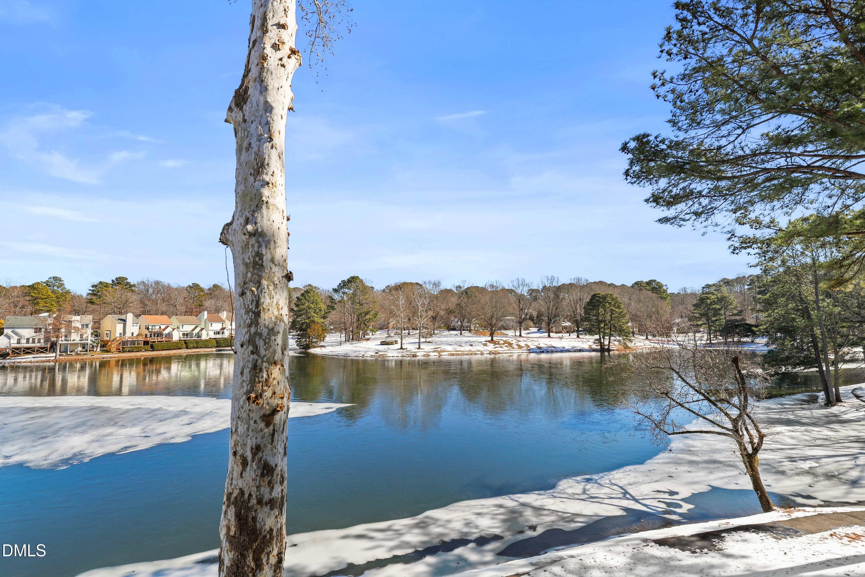 723 Springfork Drive Cary, NC 27513 - Photo 29 of 32 25