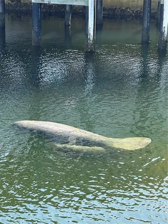 $374,999 | 13804 Malcolm Avenue, Hudson, FL 34667