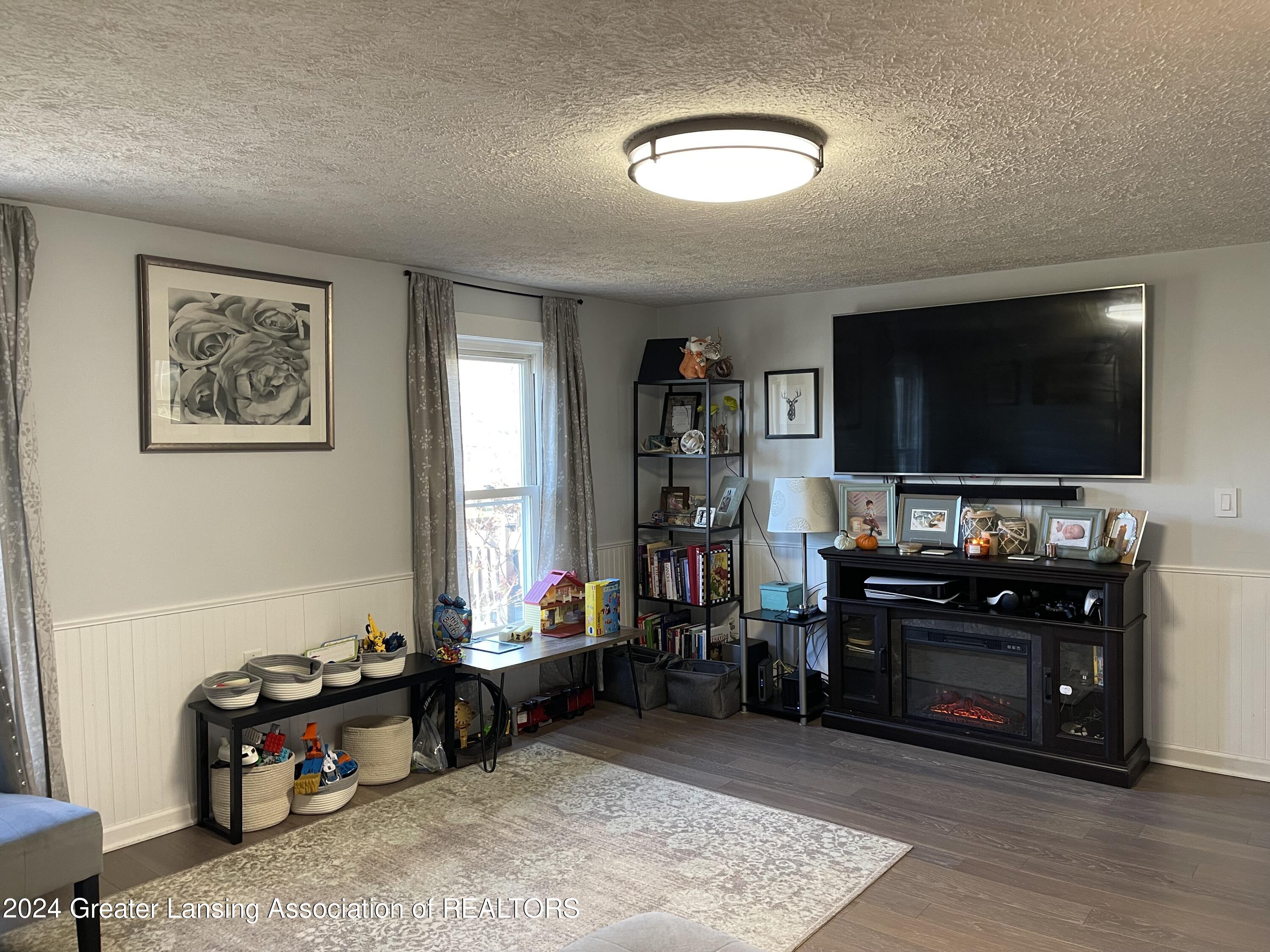 207 East Washington Street Dimondale, MI 48821 - Photo 11 of 41 Living room