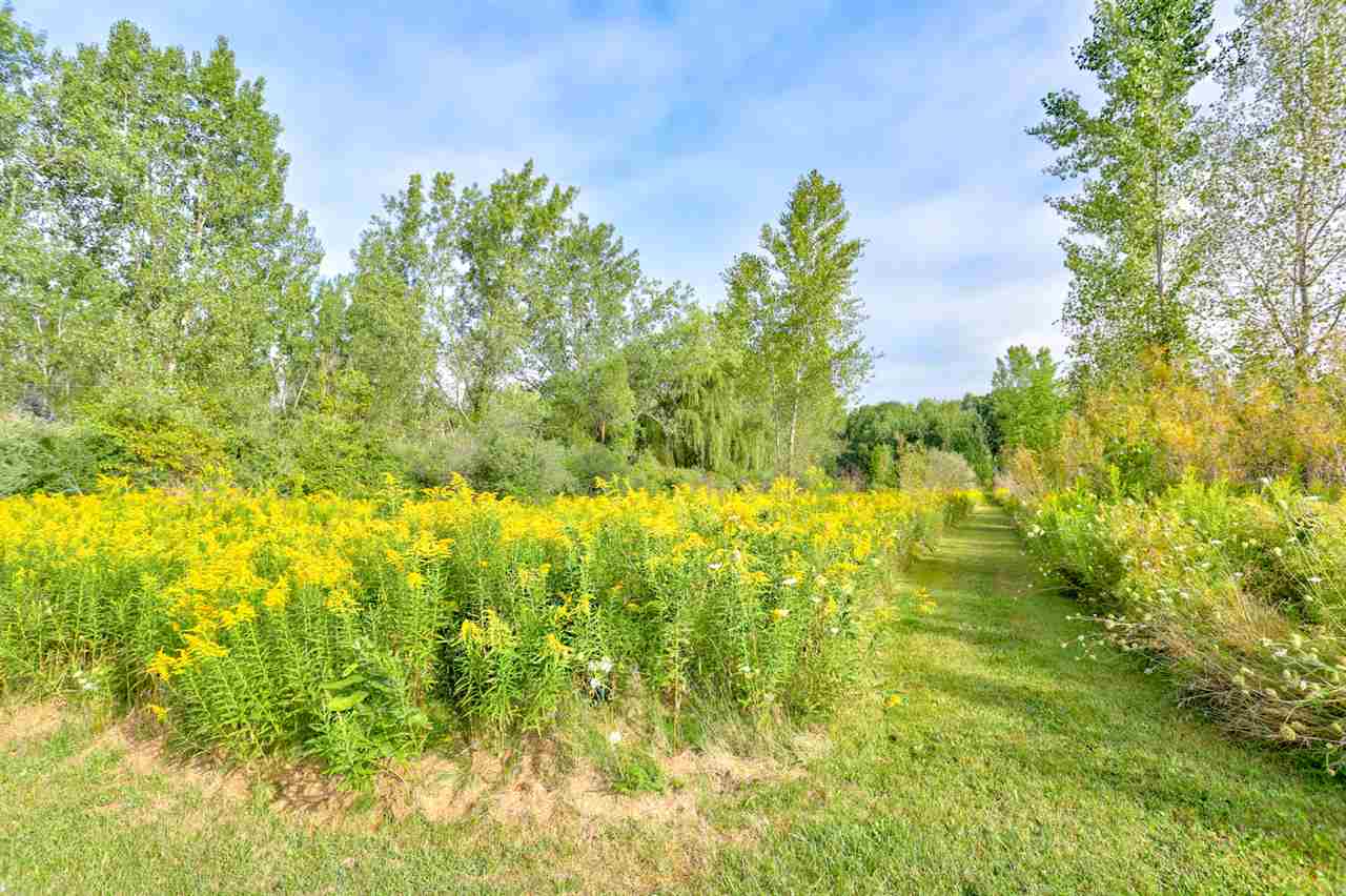 3421 Tittabawassee Road Hemlock, MI 48626 - Photo 39 of 58 Gallery Image 39