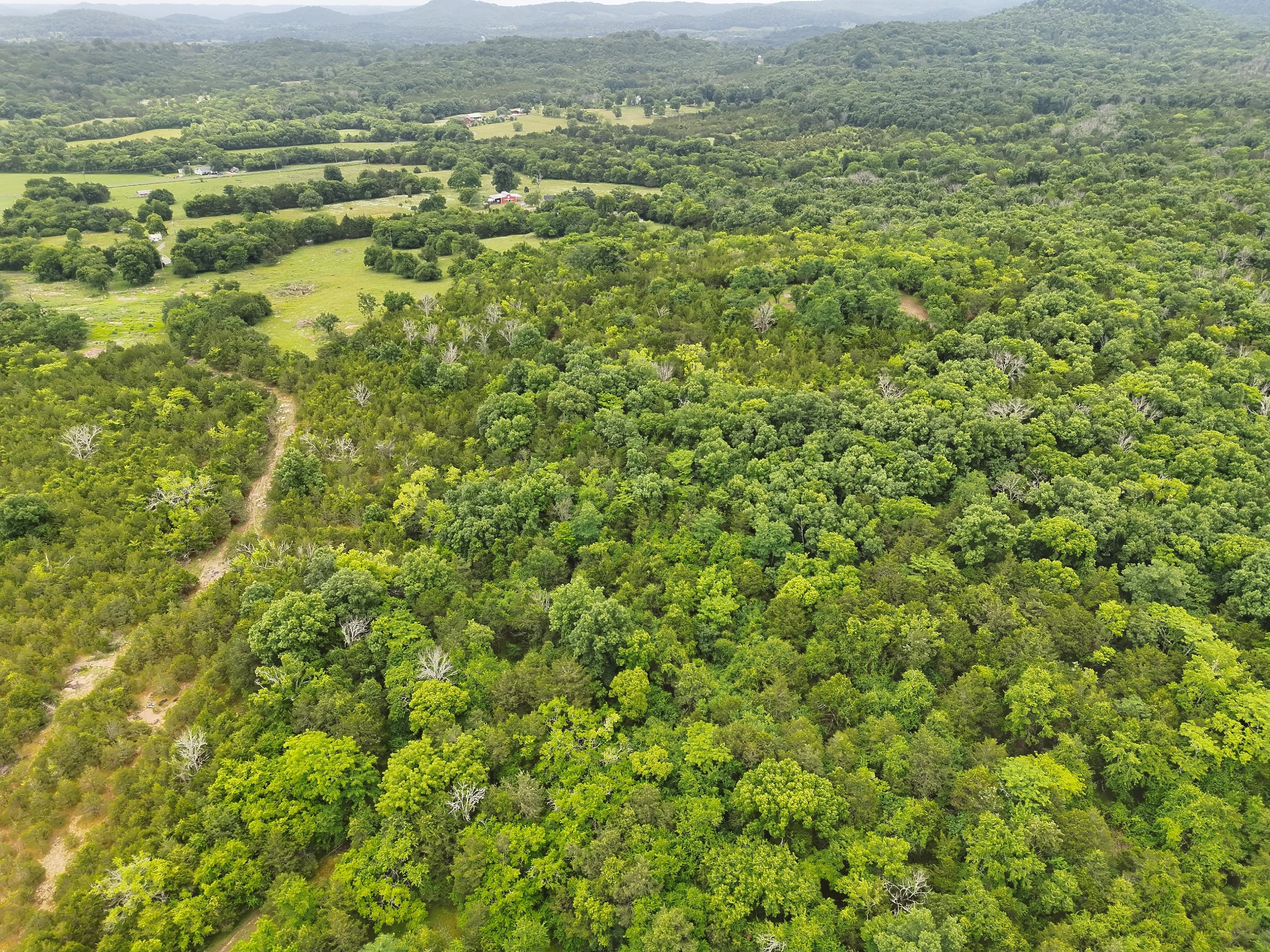4492 Murray-Kittrell Road Readyville, TN 37149 - Photo 11 of 27