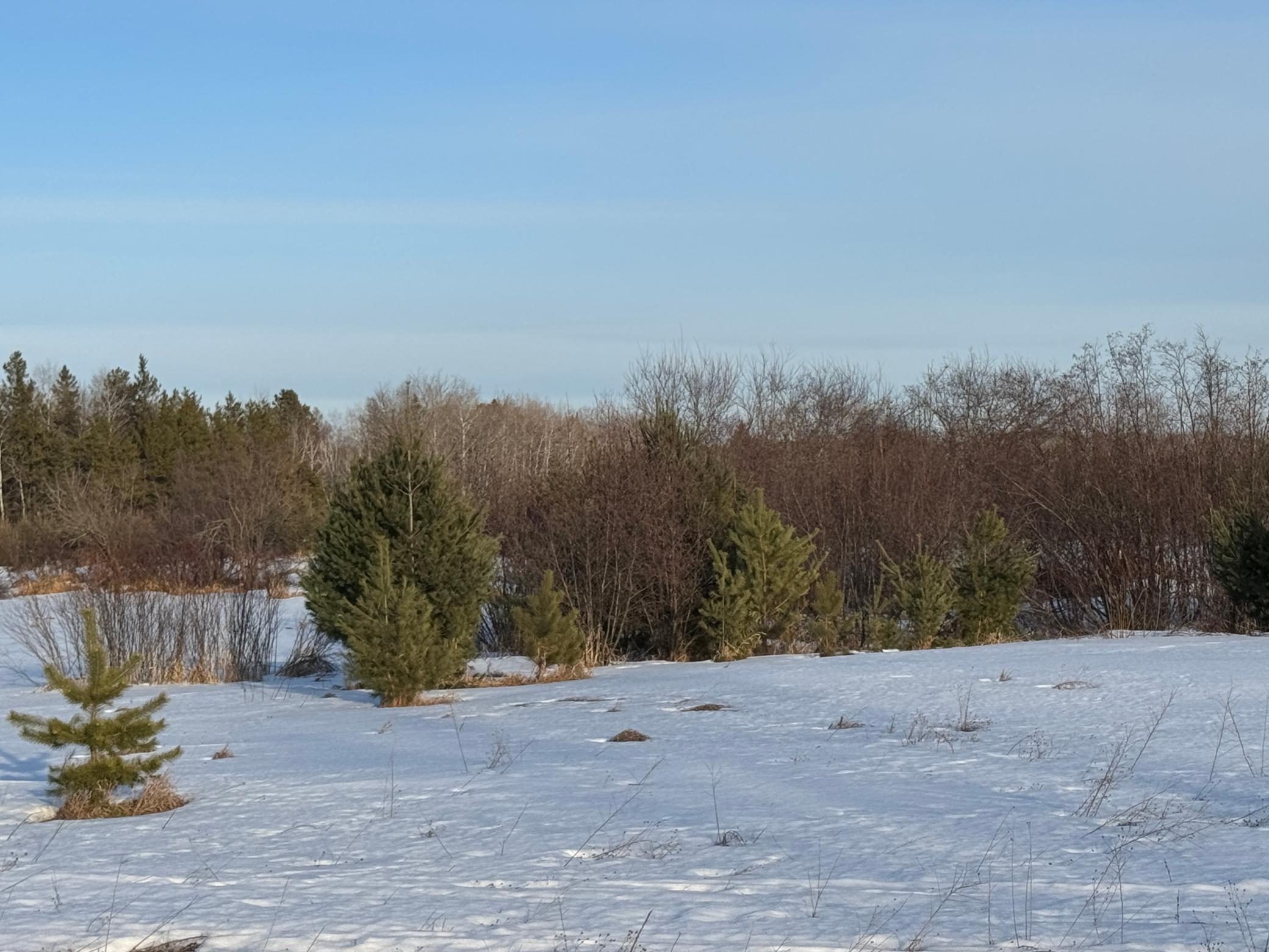 Tbd Scotch Pine Road Finlayson, MN 55735 - Photo 2 of 11