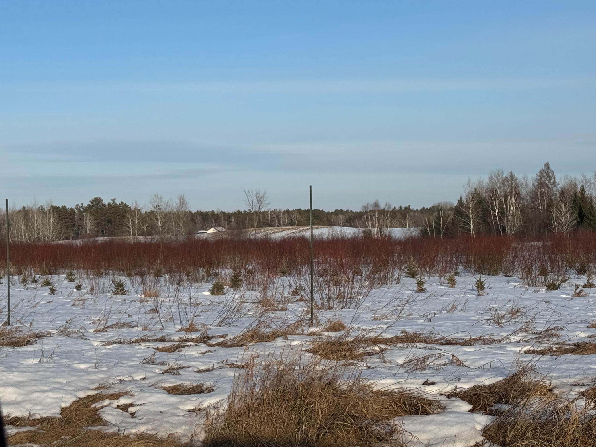 Tbd Scotch Pine Road Finlayson, MN 55735 - Photo 3 of 11