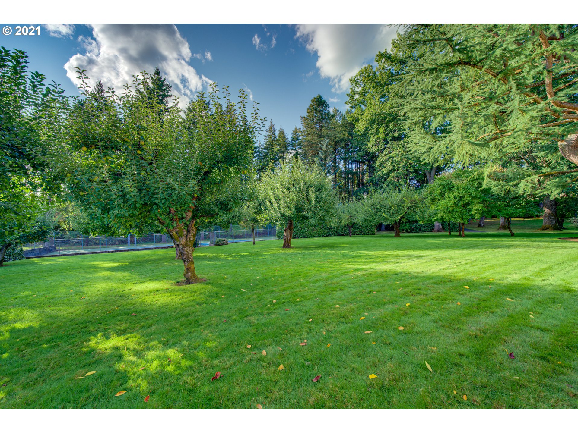 460 Bergis Road Lake Oswego, OR 97034 - Photo 4 of 27 Gallery Image 4