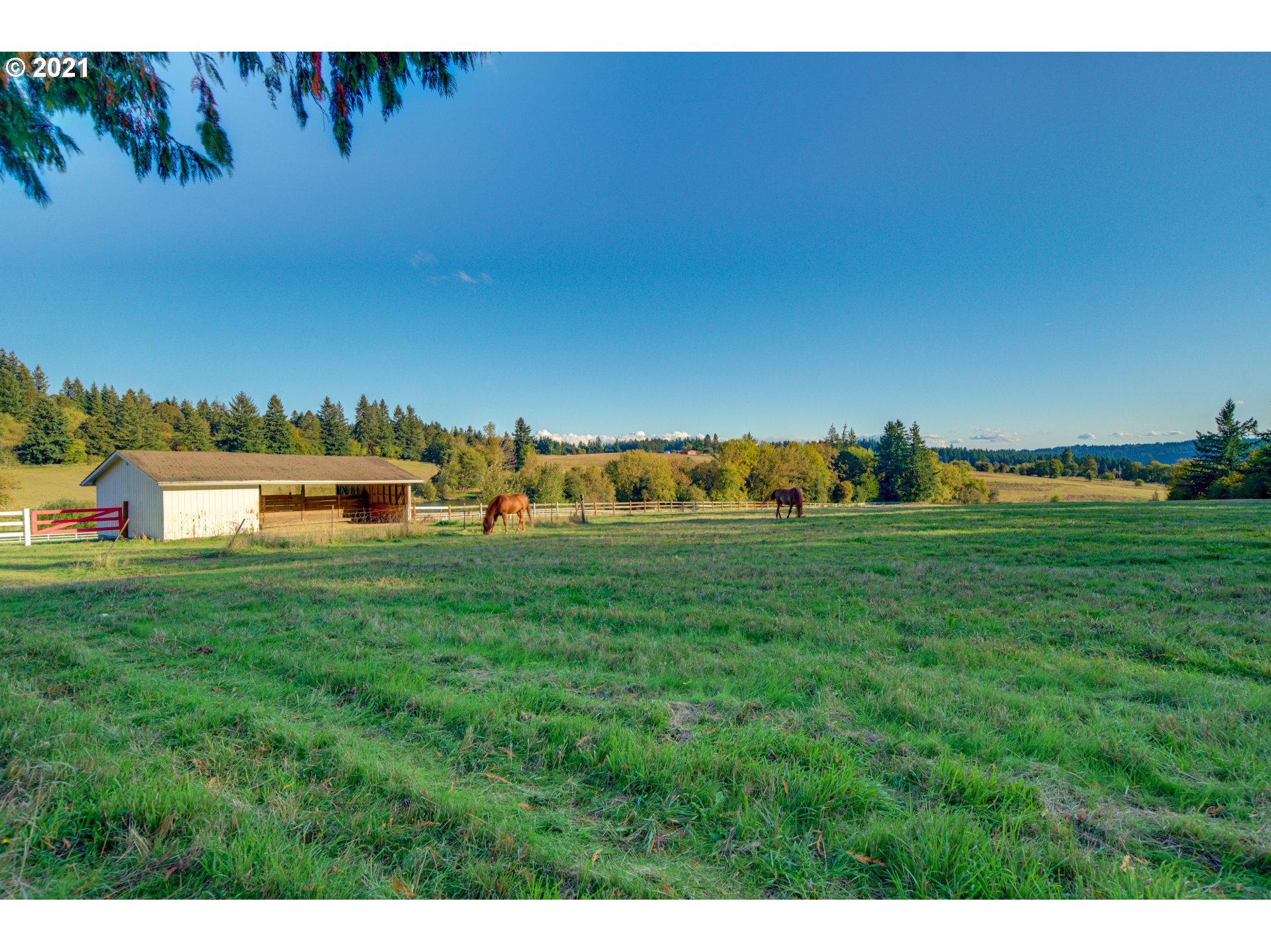 460 Bergis Road Lake Oswego, OR 97034 - Photo 9 of 27 Gallery Image 9