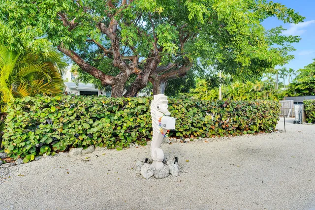 a street view along with trees