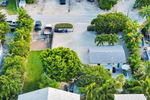 an outdoor space with plants